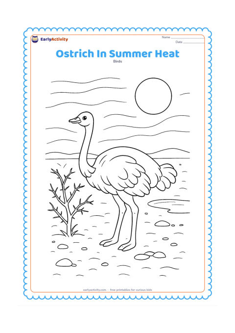 Colouring page: An ostrich stands beside a sparse thorn bush on a hot dry plain, with a large sun, distant heat-wave curves, sandy ground, stones and a small waterhole far behind.
