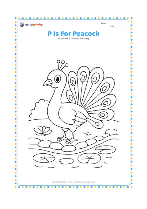 Colouring page: Draw a friendly peacock standing with its tail partly fanned beside a garden pond, with lotus leaves and a low stone border. Make the bird the central subject.