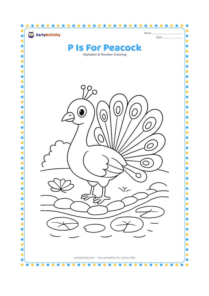 Colouring page: Draw a friendly peacock standing with its tail partly fanned beside a garden pond, with lotus leaves and a low stone border. Make the bird the central subject.