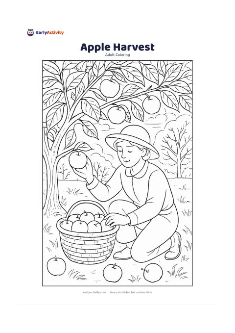 Colouring page: Draw a person gently picking apples from a low tree and placing them into a broad basket. Add several large leaves, a few apples on the grass, and a peaceful orchard background.