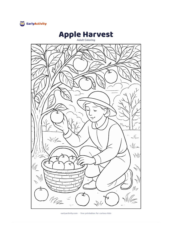 Colouring page: Draw a person gently picking apples from a low tree and placing them into a broad basket. Add several large leaves, a few apples on the grass, and a peaceful orchard background.