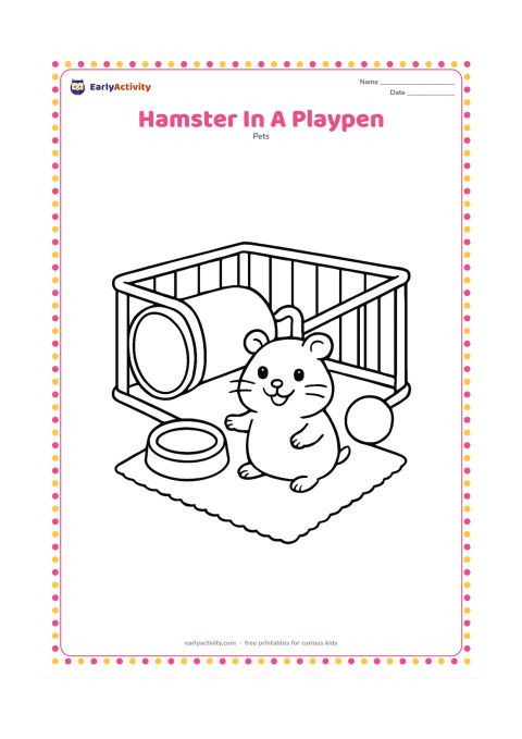 Colouring page: A happy hamster explores a small floor playpen with a large cardboard tunnel, a low dish and one soft ball. Show a simple rug beneath the playpen.