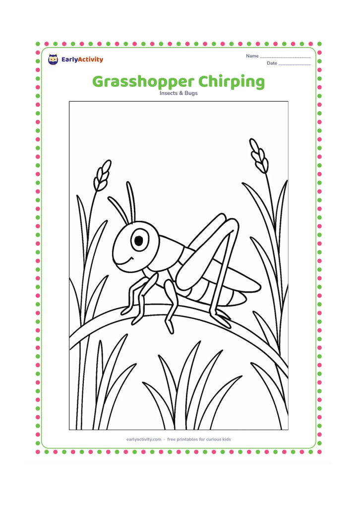 Colouring page: Draw a grasshopper sitting on a stem with one hind leg raised against its folded wing, surrounded by grass and seed heads to suggest its chirping behaviour without using symbols or text.