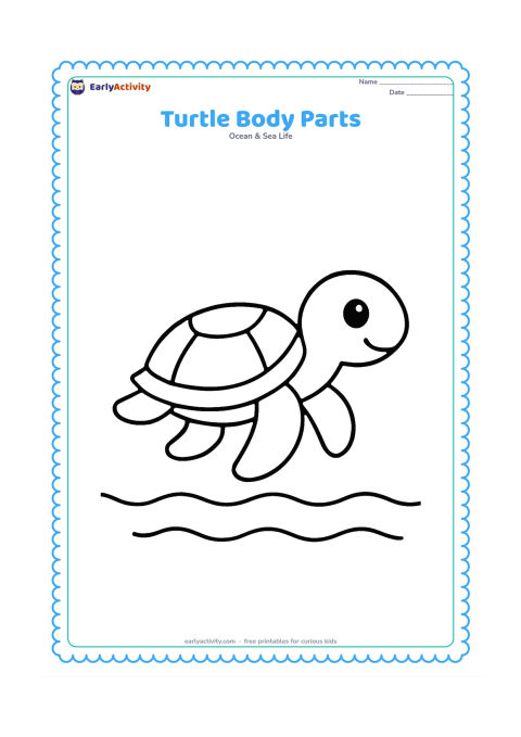 Colouring page: Draw a side-view sea turtle on open water with its head, eye, shell, two visible flippers, and short tail clearly separated.