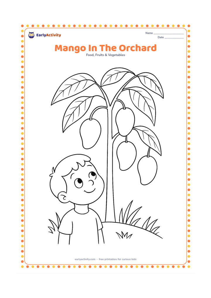 Colouring page: Show a young mango tree with several hanging mangoes, a few large leaves, grass and a child looking up from below.