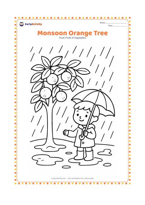 Colouring page: Draw an orange tree in light rain with several oranges, broad leaves, puddles and a child holding an umbrella nearby. Keep the rain as widely spaced lines.