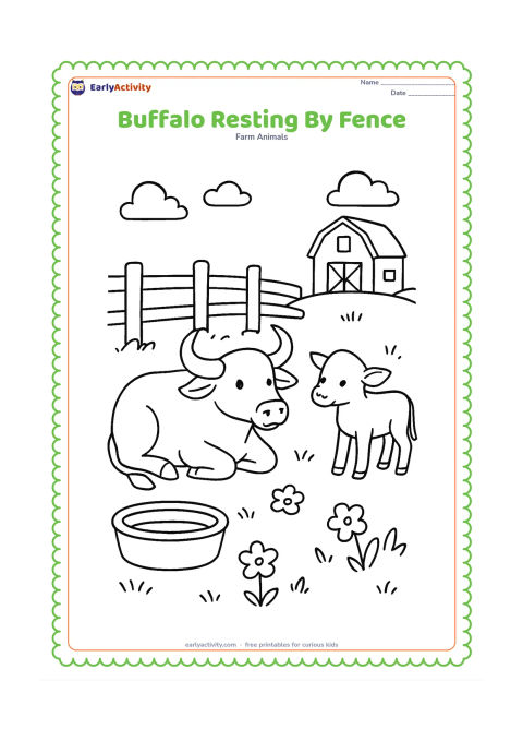 Colouring page: Draw a buffalo lying comfortably beside a wooden fence in a farm pasture. Add a calf standing nearby, flowering plants, a water trough and a distant barn.