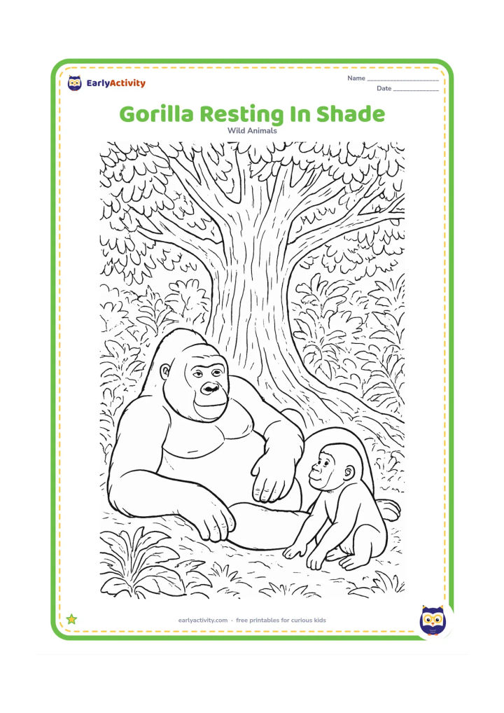 Colouring page: A large silverback gorilla reclines beneath a broad rainforest tree while a young gorilla rests nearby. Add textured bark, large roots, layered foliage and dappled openings in the canopy.