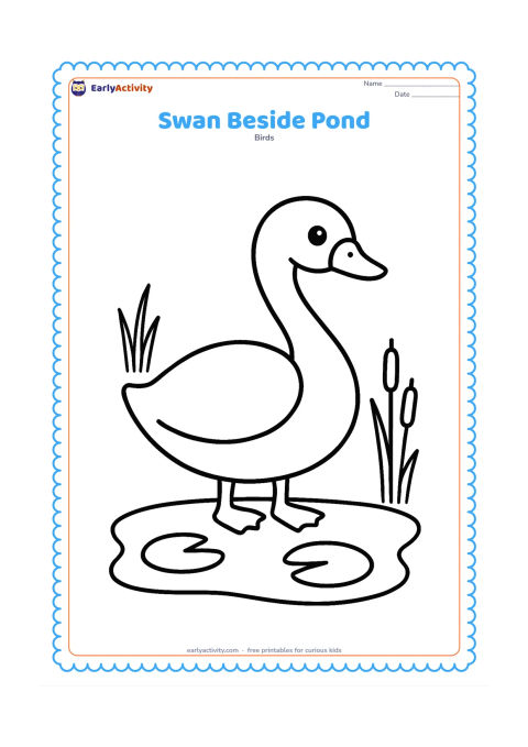 Colouring page: A large friendly swan stands beside a small pond with two broad lily leaves and a few simple reeds. Place the swan centrally with plenty of open space around its body.