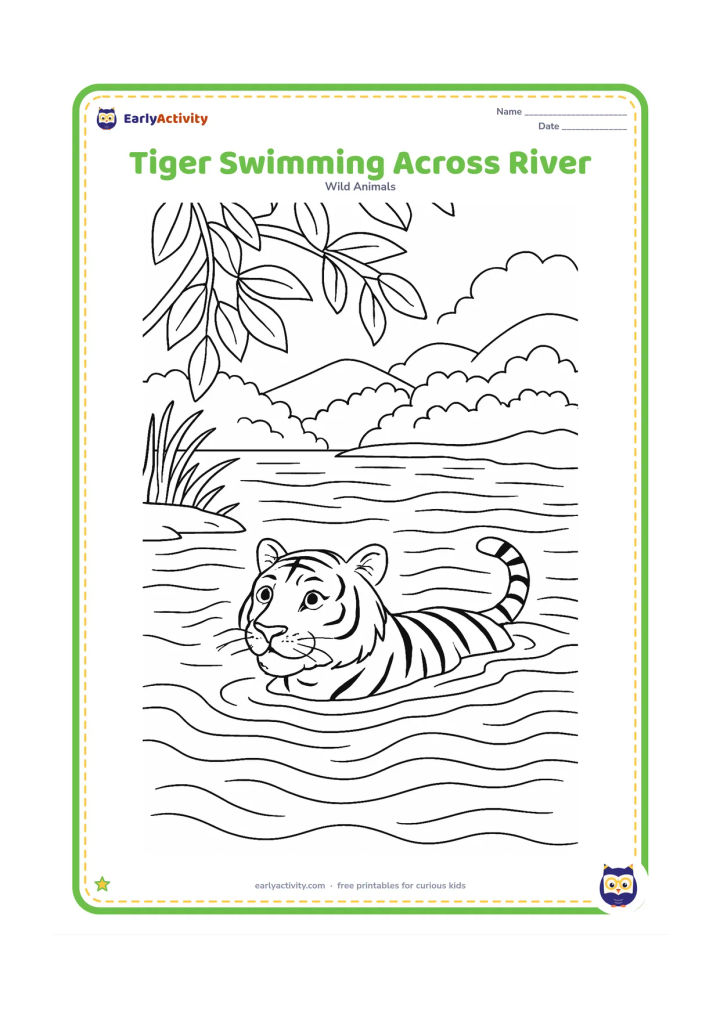 Colouring page: A strong tiger swims across a broad river with only its head, shoulders, back, and tail visible above the water. Add detailed ripples, riverbank grasses, overhanging branches, and…