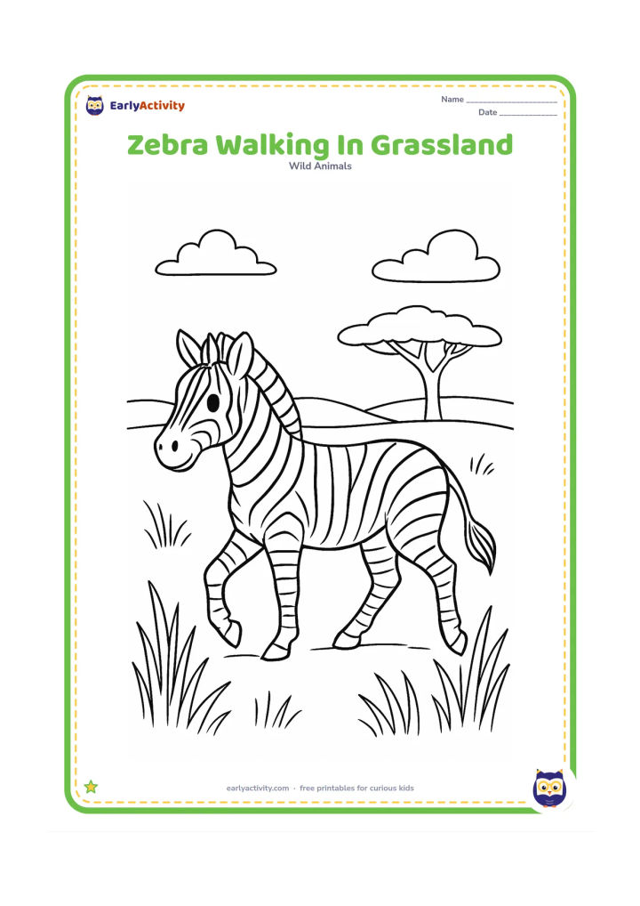 Colouring page: Draw a zebra walking across an African grassland, with one leg lifted and its head turned slightly toward the viewer. Add tall grasses, a distant flat-topped acacia tree, two clouds and…