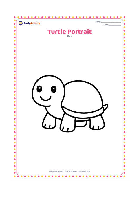 Colouring page: A friendly pet turtle faces forward with its round shell, head, four legs and small tail clearly visible. Leave plenty of open space around the turtle for easy colouring.