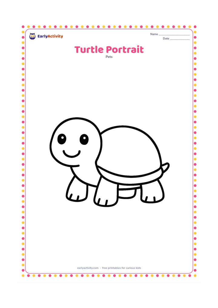 Colouring page: A friendly pet turtle faces forward with its round shell, head, four legs and small tail clearly visible. Leave plenty of open space around the turtle for easy colouring.