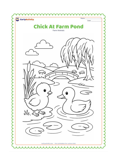 Colouring page: Draw a chick standing at the edge of a farm pond beside a duckling. Include reeds, lily pads, water ripples, a small arched bridge, a willow-like tree, and distant grazing animals.