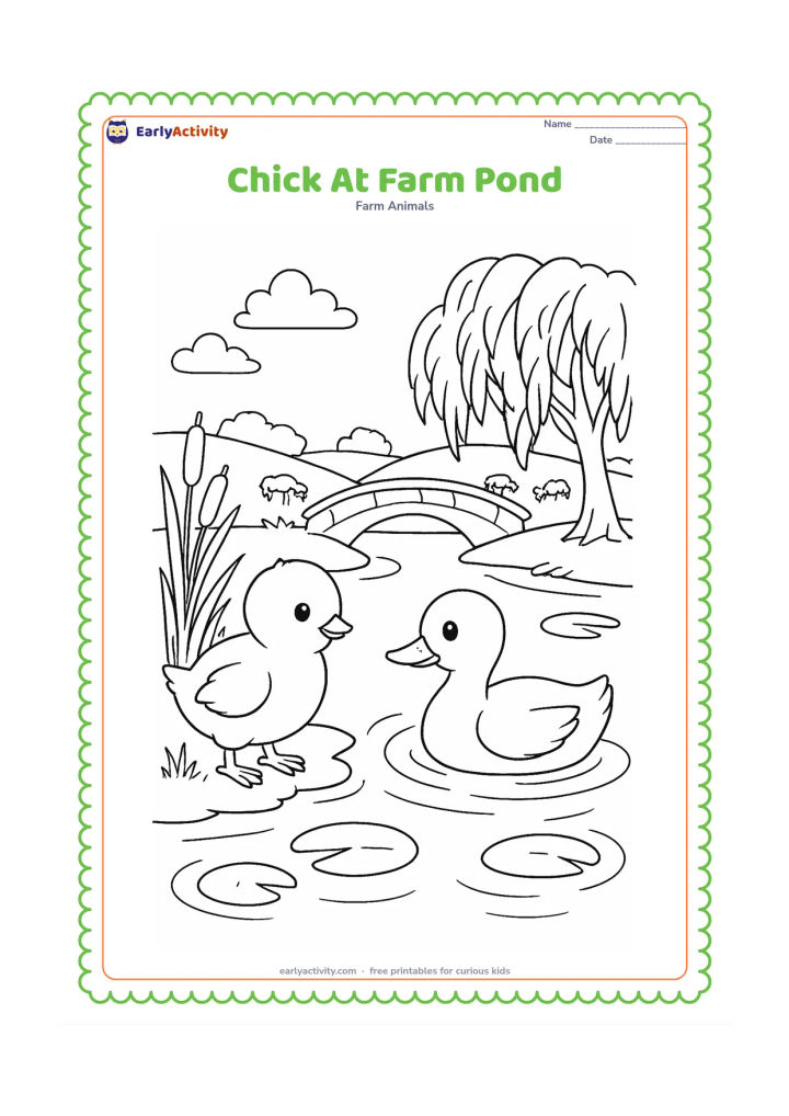 Colouring page: Draw a chick standing at the edge of a farm pond beside a duckling. Include reeds, lily pads, water ripples, a small arched bridge, a willow-like tree, and distant grazing animals.
