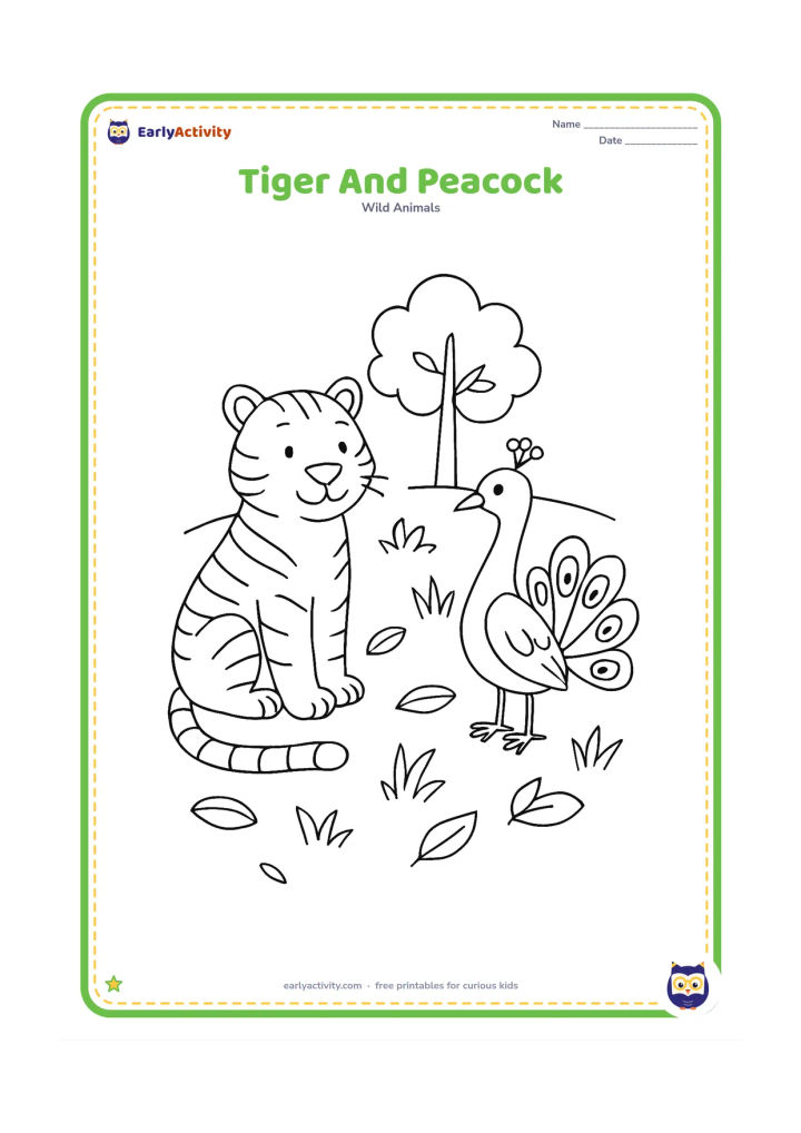 Colouring page: A calm tiger sits on one side of a forest clearing while a peacock stands a short distance away on the other side. Add scattered leaves, grass, and a small tree behind them.