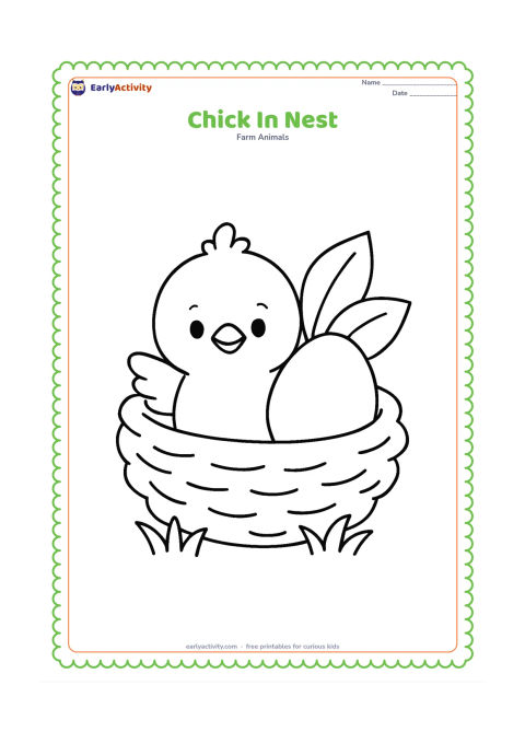 Colouring page: Draw a fluffy chick peeking from a wide, simple nest with one large egg beside it. Add two broad leaves and a short patch of grass.