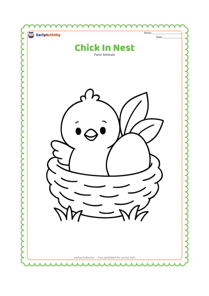 Colouring page: Draw a fluffy chick peeking from a wide, simple nest with one large egg beside it. Add two broad leaves and a short patch of grass.
