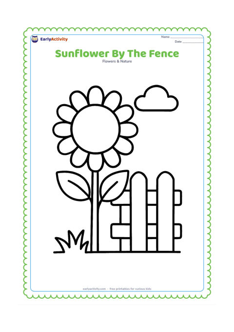 Colouring page: One tall sunflower grows beside a short, plain garden fence made of three wide boards. Add two large leaves, a small patch of grass, and a rounded cloud in the sky.