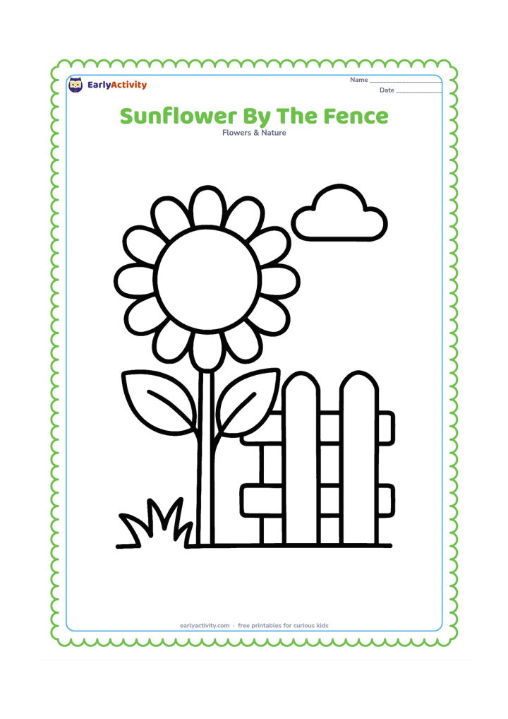 Colouring page: One tall sunflower grows beside a short, plain garden fence made of three wide boards. Add two large leaves, a small patch of grass, and a rounded cloud in the sky.