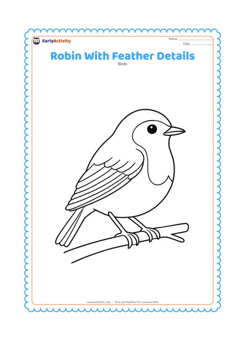 Colouring page: Draw a close side view of a European robin from head to tail, showing the rounded orange-red face and breast area, layered wing feathers, tail feathers, eye, beak and feet. Add a small…