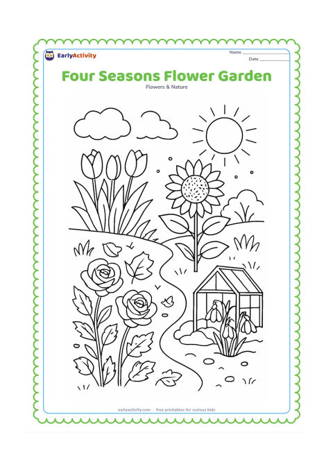 Colouring page: Draw one continuous garden scene showing spring tulips, a summer sunflower, autumn leaves around roses and winter flowers sheltered near a small greenhouse. Separate the areas with…
