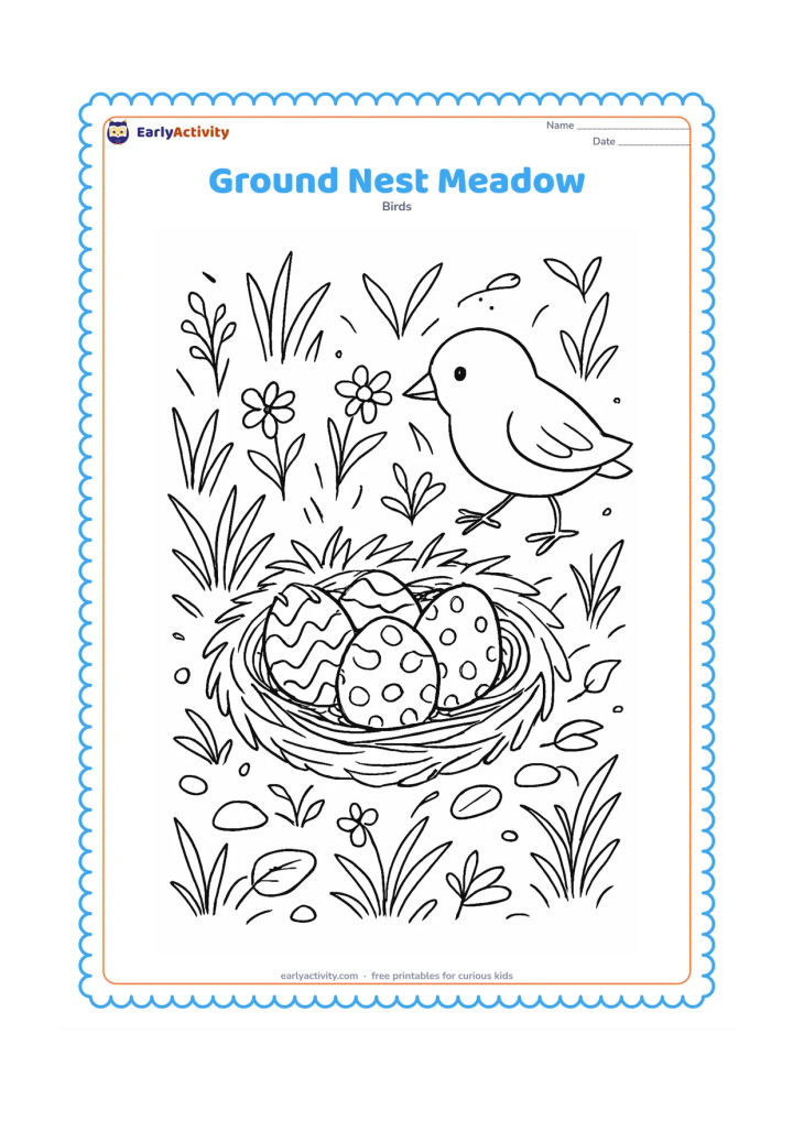 Colouring page: A carefully camouflaged ground nest holds patterned eggs among grasses, tiny flowers, fallen leaves and smooth stones. A parent bird walks toward it across the meadow.