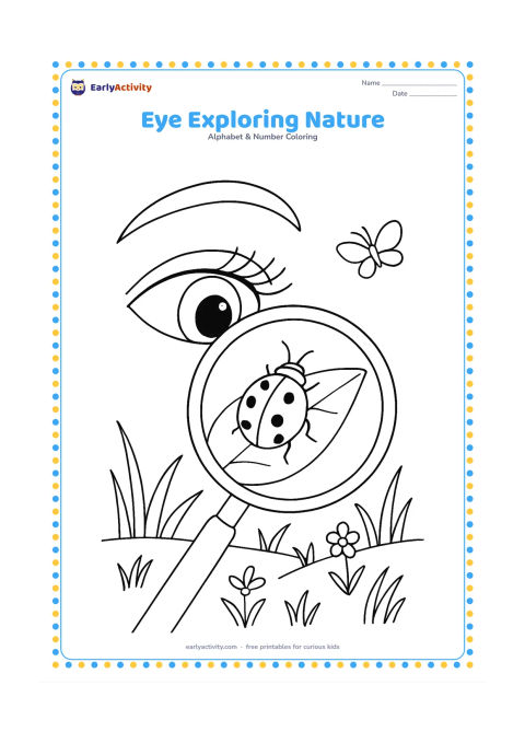 Colouring page: Draw a large eye looking through a round magnifying glass at a ladybug on a leaf. Include eyelashes, a curved eyebrow, grass, small flowers and a butterfly in the distance.