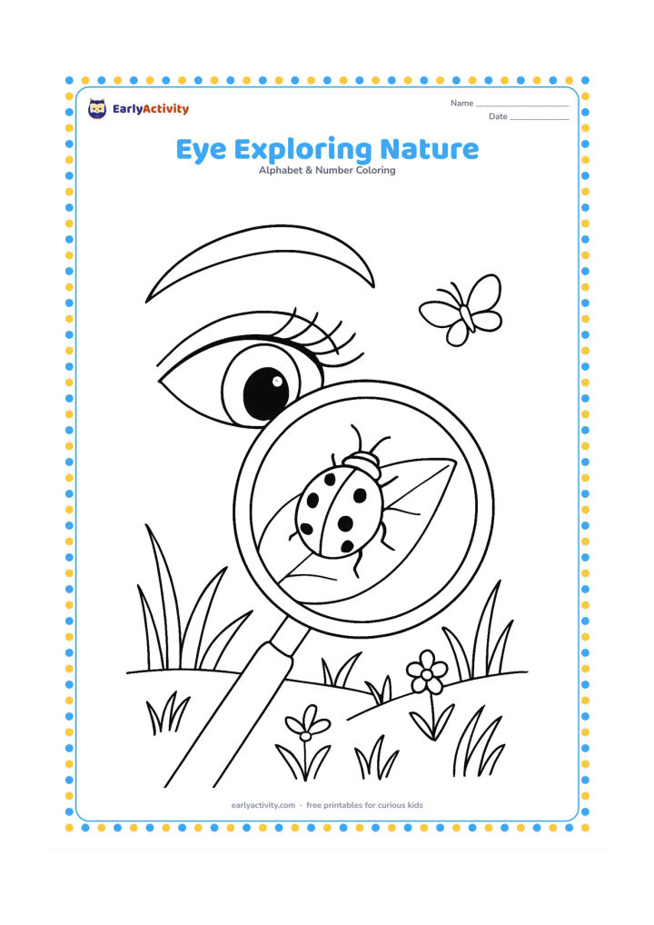 Colouring page: Draw a large eye looking through a round magnifying glass at a ladybug on a leaf. Include eyelashes, a curved eyebrow, grass, small flowers and a butterfly in the distance.