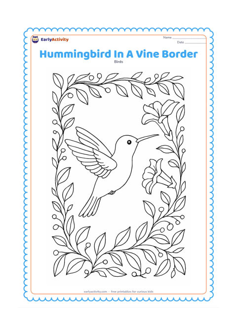 Colouring page: A hovering hummingbird is framed by a winding vine border covered with leaves, trumpet flowers and small berries. Show the bird facing inward toward one open flower.