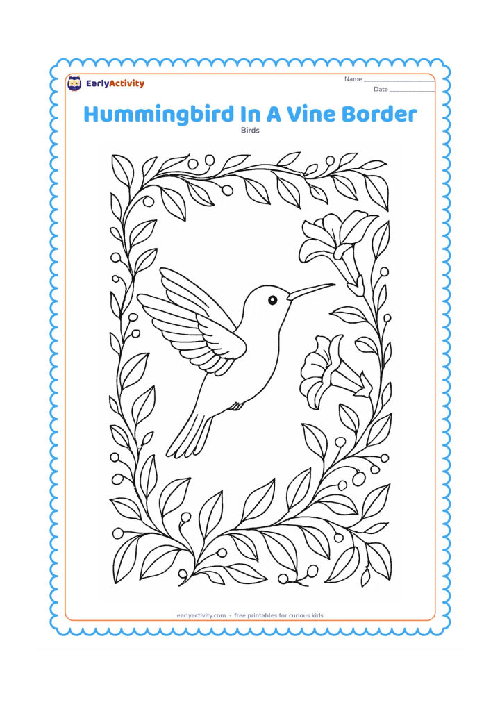 Colouring page: A hovering hummingbird is framed by a winding vine border covered with leaves, trumpet flowers and small berries. Show the bird facing inward toward one open flower.