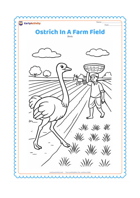 Colouring page: An ostrich walks along a broad Indian farm field beside neat crop rows, a simple irrigation channel, a farmer carrying a basket and a distant bullock cart. Do not include labels, letters…