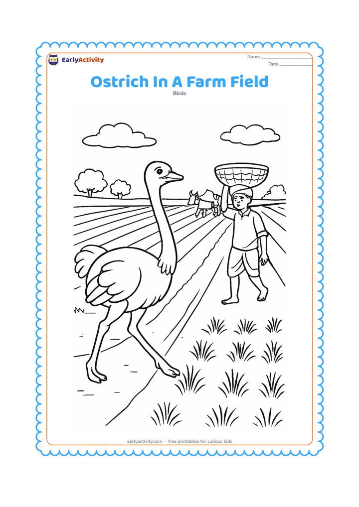 Colouring page: An ostrich walks along a broad Indian farm field beside neat crop rows, a simple irrigation channel, a farmer carrying a basket and a distant bullock cart. Do not include labels, letters…
