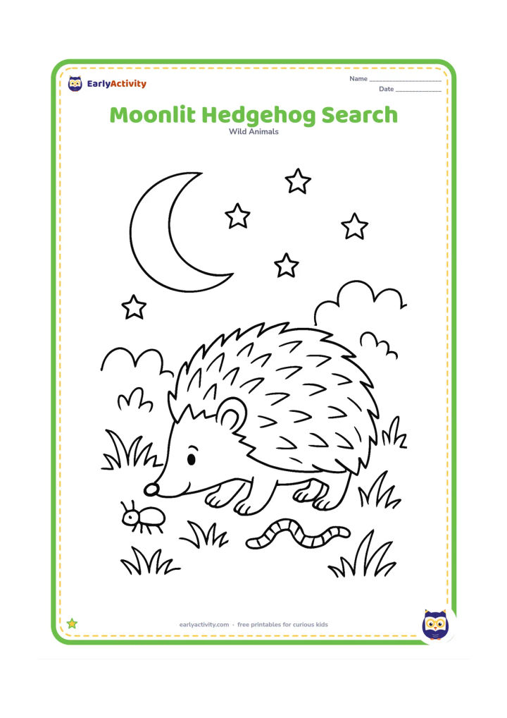 Colouring page: Draw a hedgehog searching for food at night beneath a large crescent moon, sniffing the ground near an insect and a worm. Include layered grass, bushes and several stars.