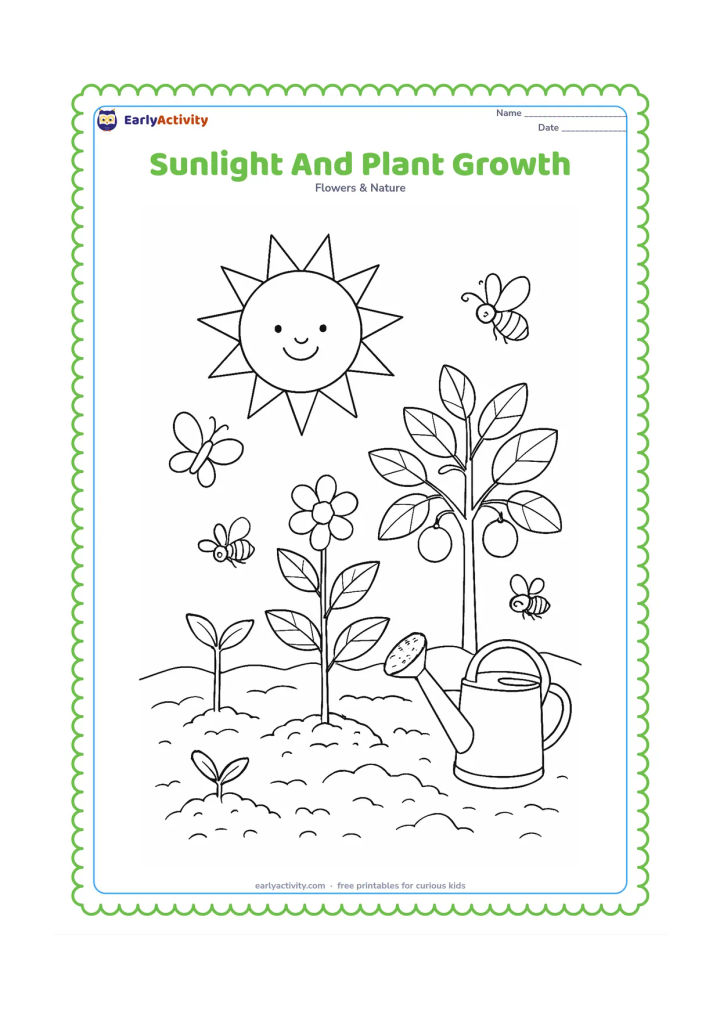 Colouring page: Draw the sun shining over a detailed garden showing a seedling, flowering plant, fruit tree, butterflies, bees, garden soil and a watering can. Arrange the plants from small to mature…