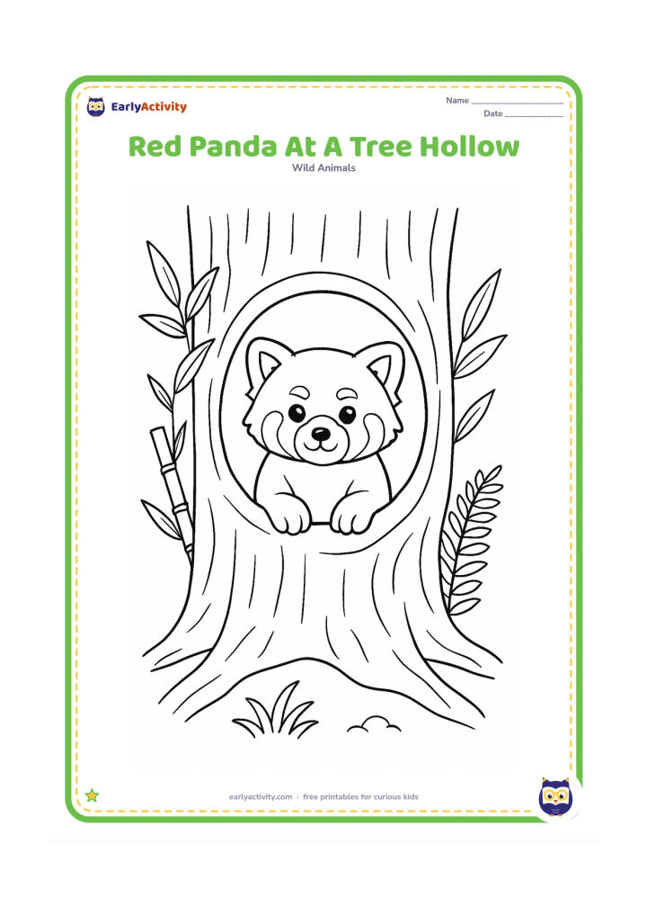 Colouring page: Draw a red panda peeking out from a large hollow in a tree trunk, with its front paws on the edge. Add bamboo leaves, a fern and a few simple roots around the base.