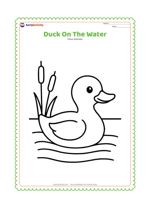 Colouring page: A single duck floats on a calm pond, shown from the side with its head raised. Add a few wide horizontal water ripples and two simple reeds.