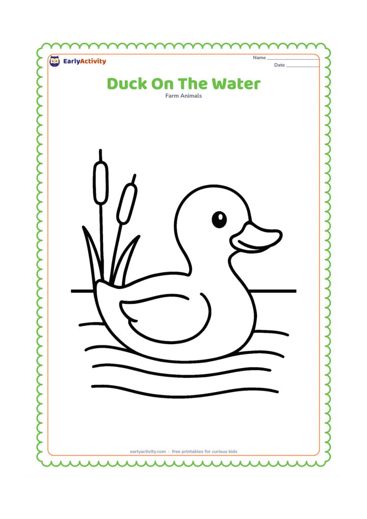 Colouring page: A single duck floats on a calm pond, shown from the side with its head raised. Add a few wide horizontal water ripples and two simple reeds.