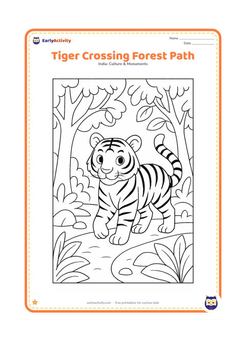 Colouring page: Draw a Bengal tiger walking across a forest path, looking gently toward the viewer. Frame the path with sal-like trees, broad leaves and a few rocks, leaving the tiger clearly central.