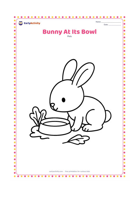 Colouring page: Draw a bunny sitting beside a large food bowl, leaning forward to sniff it. Add two simple leafy vegetables beside the bowl and a small patch of floor or grass.