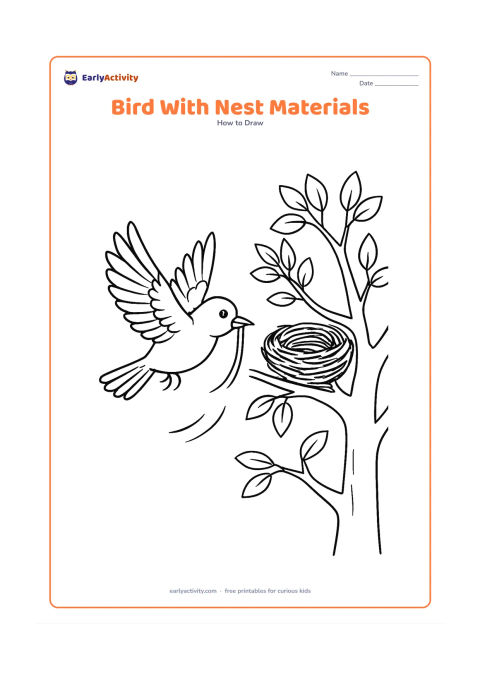 Worksheet: A bird flies toward a tree carrying a long grass strand for its nest, with another partly built nest in the branches. Show spread wings, layered feathers, pointed beak, open tail, tree…