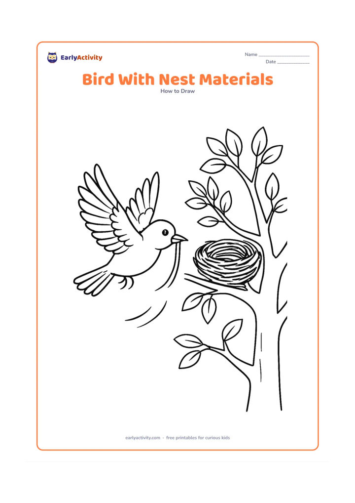 Worksheet: A bird flies toward a tree carrying a long grass strand for its nest, with another partly built nest in the branches. Show spread wings, layered feathers, pointed beak, open tail, tree…