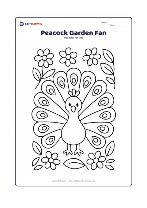 Colouring page: A peacock faces forward in the centre with its tail spread into a large round fan. Fill the surrounding mandala with big feather-eye shapes, simple flowers and wide leaves.