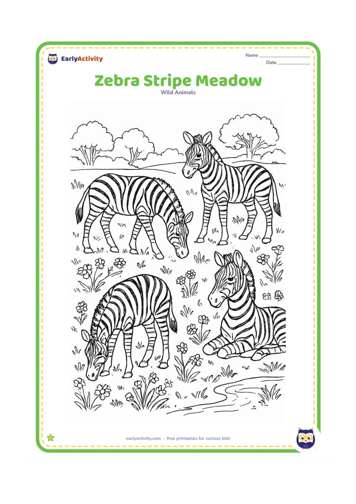 Colouring page: Draw four zebras in a flowering meadow, with each animal in a different pose: grazing, walking, standing alert and lying down. Add individual stripe patterns, wildflowers, grasses, a…
