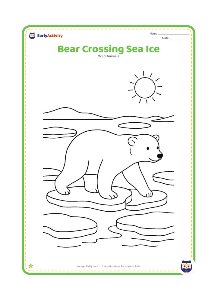 Colouring page: A polar bear walks carefully across several connected sea-ice floes, with calm water gaps, distant low ice hills and a bright sun.