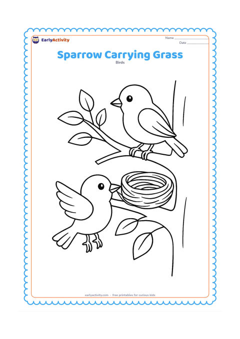 Colouring page: A sparrow carries a bundle of grass toward a nest built in a leafy tree fork. Show a second parent bird perched on the opposite branch and a few simple leaves.