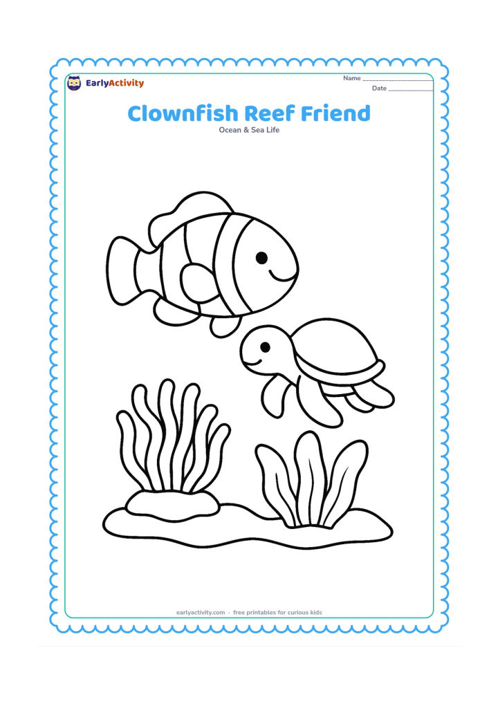 Colouring page: Draw a large clownfish beside a friendly small sea turtle, both swimming over a simple reef with one anemone and broad seaweed leaves. Leave clear space between the animals.