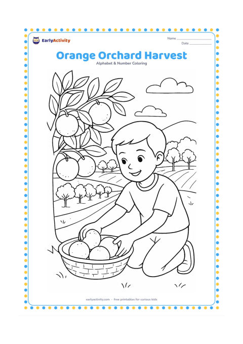 Colouring page: Draw a child placing oranges into a shallow basket beneath a leafy orange tree, with rows of trees, a farm path and distant hills in the background. Use an Indian countryside setting…