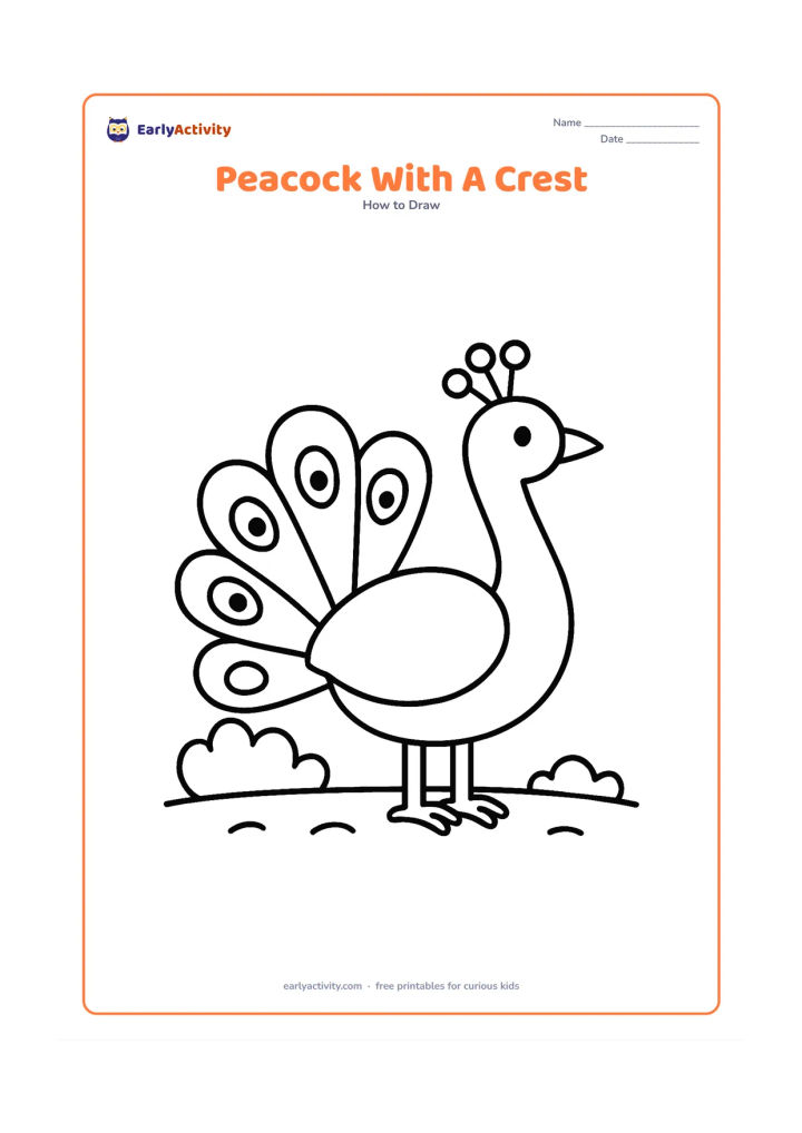 Worksheet: A side-view peacock standing proudly, built from a large circle body, curved neck, small beak, three-part crest and short legs. Add one large bush behind the tail and a few simple ground…