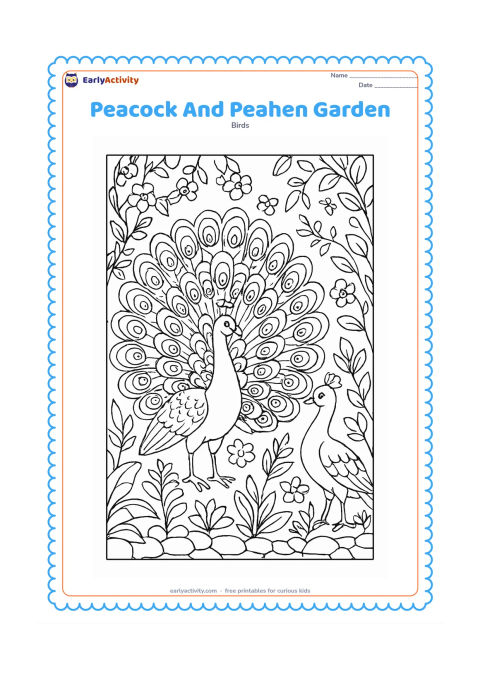 Colouring page: A male peacock spreads his train beside a peahen in a richly planted garden. Include climbing vines, flowers, broad leaves, a stone border, and clearly different tail shapes for both birds.